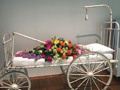 -墨尔本博物馆(Melbourne Museum)