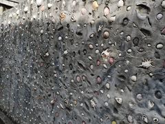-东沙渔村