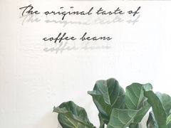 -red donkey coffee