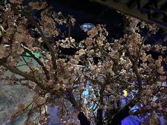 -绿茶餐厅(朝阳大悦城店)