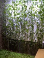 -盘子女人坊古装写真摄影(天津总店)