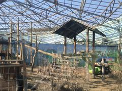 -鄂尔多斯野生动物园