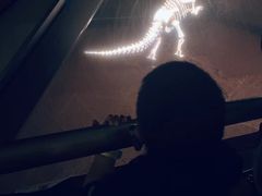 -世界恐龙谷景区