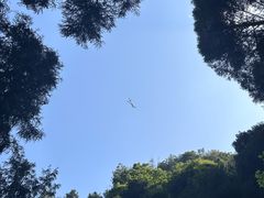 -刘伯温故里景区百丈漈