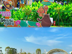 -江门古劳水乡旅游区