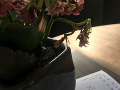 -gaga(深圳南山益田假日广场店)
