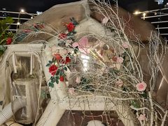 -天空花园餐吧·生日·团建(南山店)