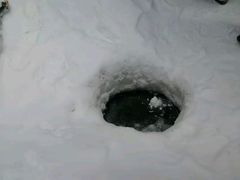 -雪谷