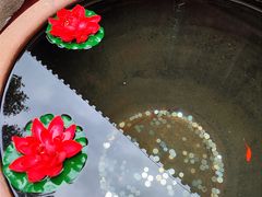 -红螺寺