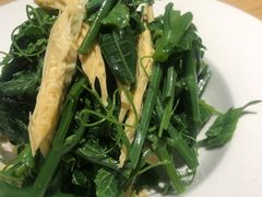 橄榄油南瓜苗-蒙料·手把肉(望京店)