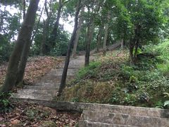 -广州市帽峰山景区