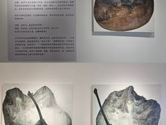 -辰熙ACX星海艺术中心
