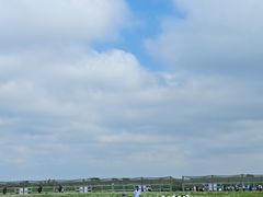 -盐城丹顶鹤湿地生态旅游区