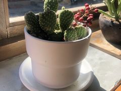 -朵朵开素食餐厅(后宰门街店)