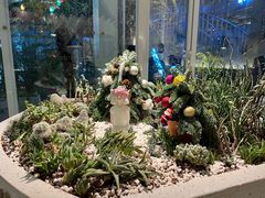 -春树下·树屋花房西餐厅(罍街AS1980店)