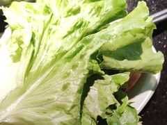 -梨花自助烤肉(乐宾店)