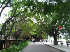 -大湾区中央湿地公园
