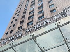 -申普宠物医院·心脏介入·心血管微创(总院)