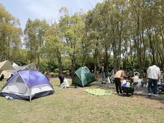-嘉北郊野公园