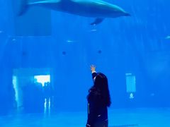 -华夏文旅海洋公园