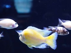 -重庆欢乐海底世界