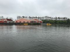 -上海长兴岛郊野公园