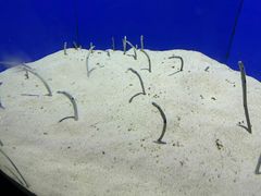 -上海海洋水族馆
