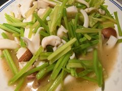 芹菜炒墨鱼-水先生寧波菜(天一店)