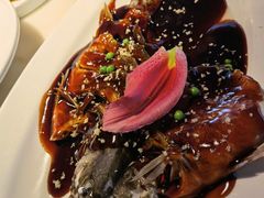 -桂满陇天书(南京德基旗舰店)