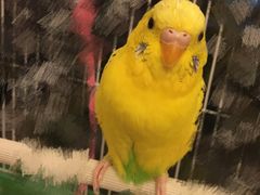 iphone_upload_pic-自由之丘