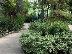 -南宫五洲植物乐园