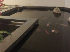 -龍栖轻奢足道·按摩·SPA(汇峰大厦店)