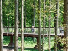 -黄海国家森林公园