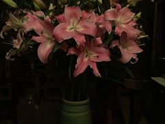 -心足私家足疗SPA(海岸城店)