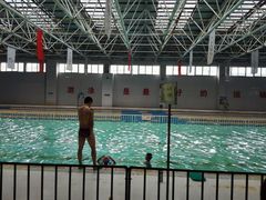 android_upload_pic-定安游泳馆