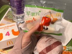 -麦当劳(花园北路店)