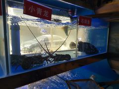 -小龍鳳·港式海鲜打边炉(沙湖路店)