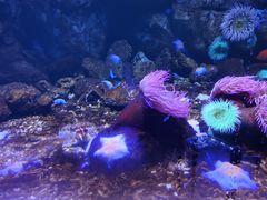 -南昌融创海世界