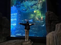 -成都浩海立方海洋公园