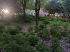 -洛阳市隋唐城遗址植物园