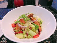 -bluefrog蓝蛙(皇庭广场店)