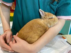 -雨林宠物医院 非犬猫异宠专科