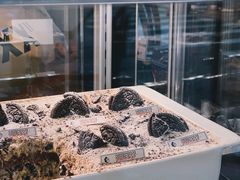 -宿咕XXSHOKU(望江苑店)