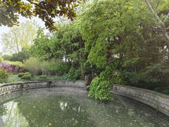 -嘉定紫藤园