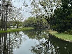 -上海共青森林公园