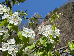 -天津盘山风景名胜区
