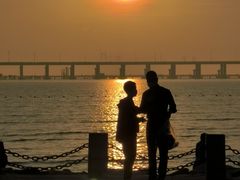 -宝安西湾红树林湿地公园