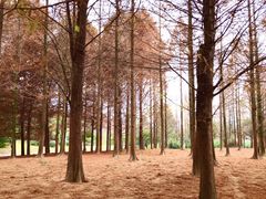 -贵阳市花溪国家城市湿地公园