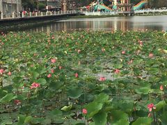 -龙虎塔