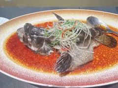 -曼格纳·曼芯馆(杨浦店)